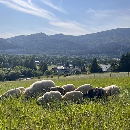 בית חווה Dom Przy Czerwonym Szlaku - The Red Trail