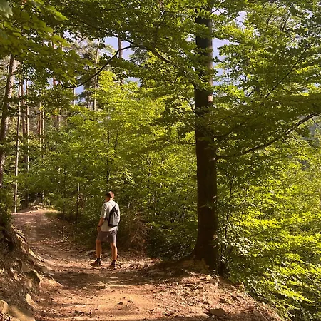 Farm stay Dom Przy Czerwonym Szlaku - The Red Trail *