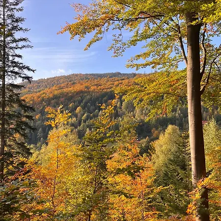 Dom Przy Czerwonym Szlaku - The Red Trail * Cisiec