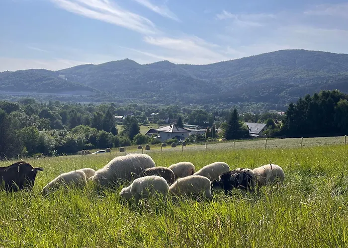 בית חווה Dom Przy Czerwonym Szlaku - The Red Trail