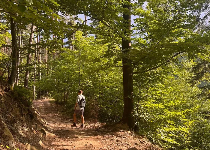 בית חווה Dom Przy Czerwonym Szlaku - The Red Trail *