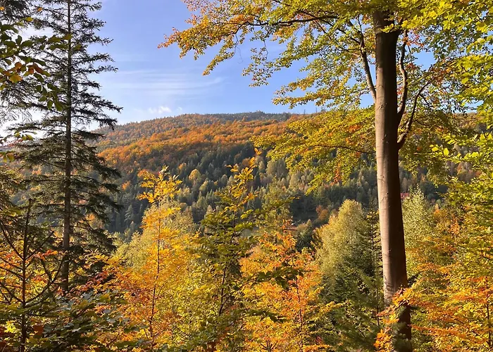 Dom Przy Czerwonym Szlaku - The Red Trail * Cisiec